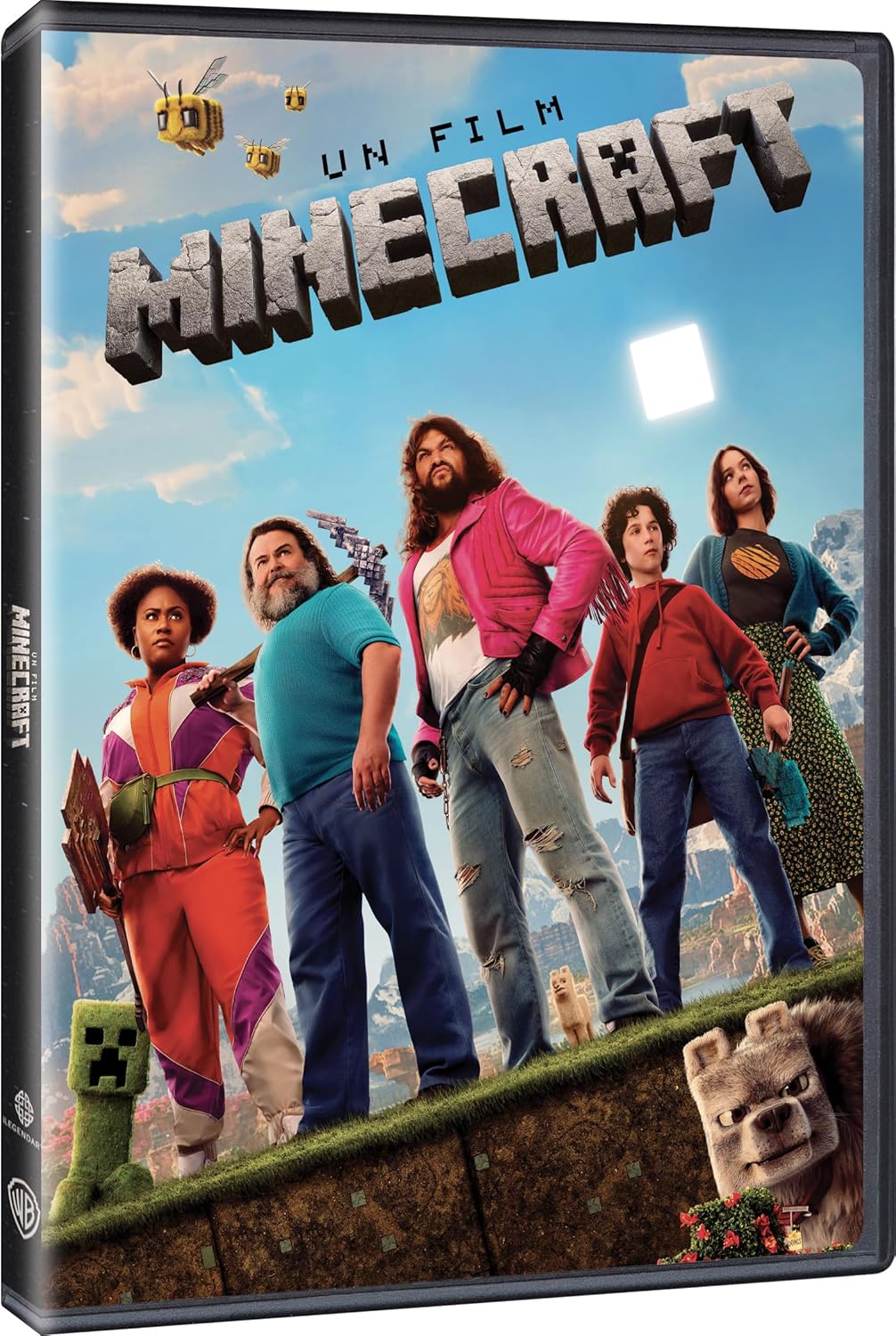 Un film Minecraft