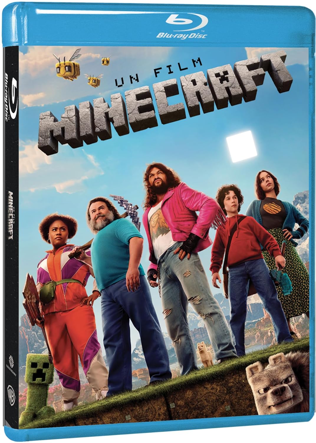 Un film Minecraft